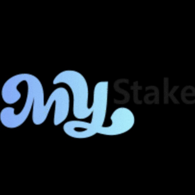 Stake Casino